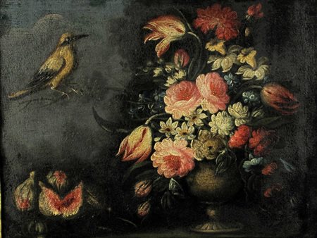 Scuola veneta XVII secolo Natura morta con uccellino Olio su tela Misura...