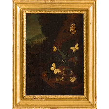 JOHANN FALCH, Natura morta con farfalle, Olio su tavola