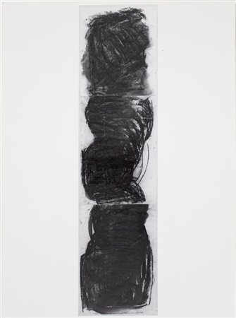 Michelangelo Pistoletto Profumo di rosa carbone 1° 1985