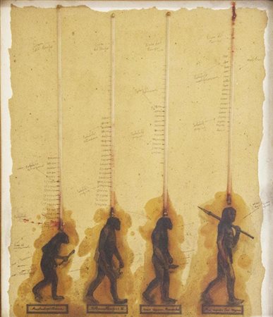 Claudio Costa Senza titolo