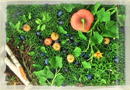 Piero Gilardi, (1942) PRATO poliuretano espanso, cm 80x120x16, entro teca in...