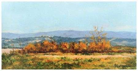 EURO PAOLICCHI Pisa 1926 Ginestre in fiore 1989 Olio su tavola 20 x 40. Firma...