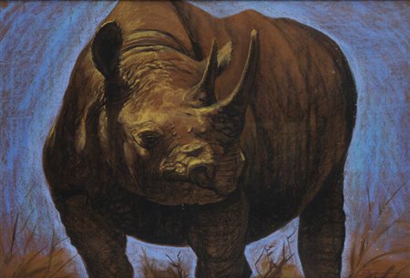 PITTORE NON IDENTIFICATO<BR>"Rinoceronte" 1969