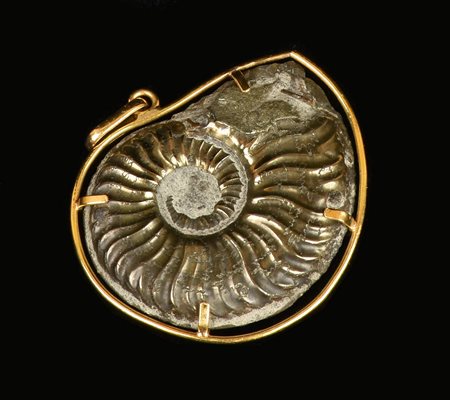 PENDENTE IN ORO GIALLO al centro fossile di Nautilus incastonato su un...