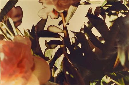 AMEDEO MARTEGANI (Milano, 1963) Senza titolo, 1996 foto pezzo unico cm 27x40...