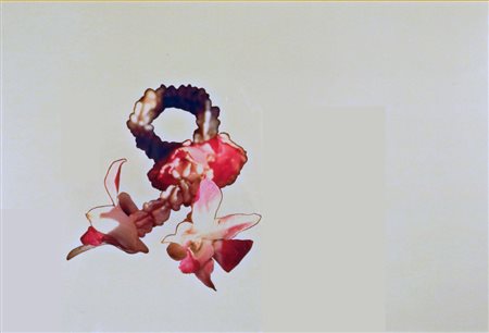 AMEDEO MARTEGANI (Milano, 1963) Senza titolo, 1996 foto pezzo unico cm 27x40...