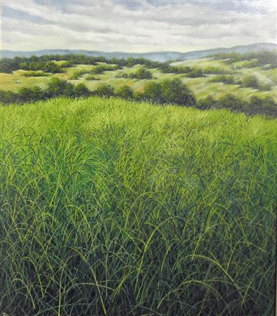 ANONIMO (pittore locale veronese) senza titolo (paesaggio) olio su tela cm...