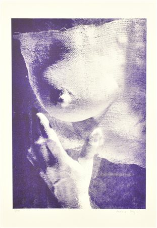 Loredana Seregni TRASPOSIZIONE serigrafia monocromatica su carta, cm 70x50;...