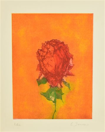 Ermanno Barovero ROSA SU SFONDO ARANCIO acquaforte- acquatinta su carta...