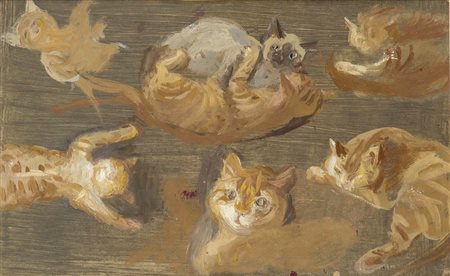 ANONIMO: Gatti rossi