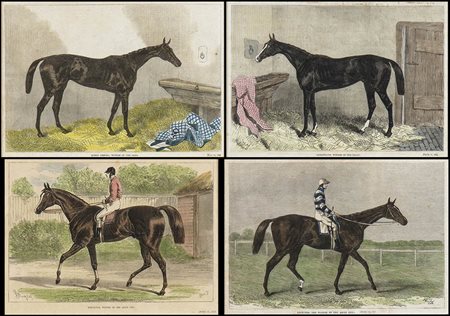 ANONIMO: Lotto di 4 stampe raffiguranti cavalli da corsa dell'800