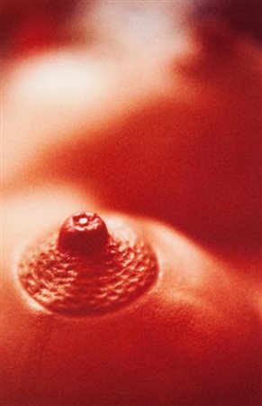Cindy Sherman “Nipple with diamond” 1990/91
