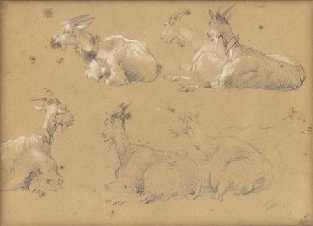 FILIPPO PALIZZI (Vasto, 1818 - Napoli, 1899): Studio di capre