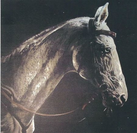 LAZZARO FORNONI, Horse