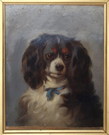 Thomas William Earl (1836-1885)  - Cavalier King con nastro azzurro al collo