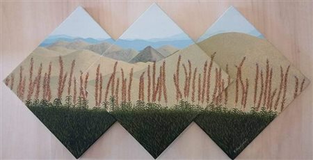 Raffaella Capannolo, Passeggiando sul Gran Sasso III
