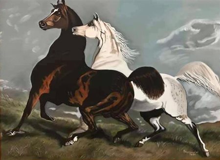 Maria Brunaccini, Cavalli in libertà