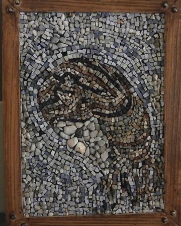 Francesca Calzoni in arte Fedra, Nautilus