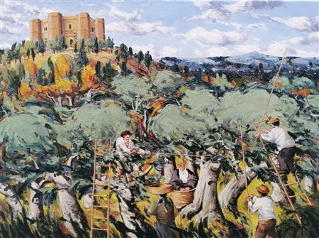 Rocco Regina, La raccolta delle olive