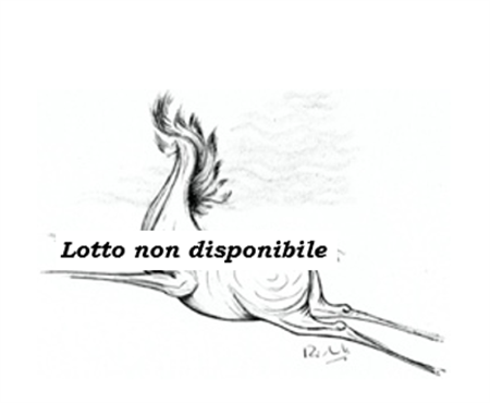 Archivio Storico Casa d’Aste