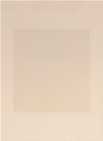 COSTANTINI SONIA Mantova (Mn) 1956 Rosa Pallido 2004 Matita e pastello su...