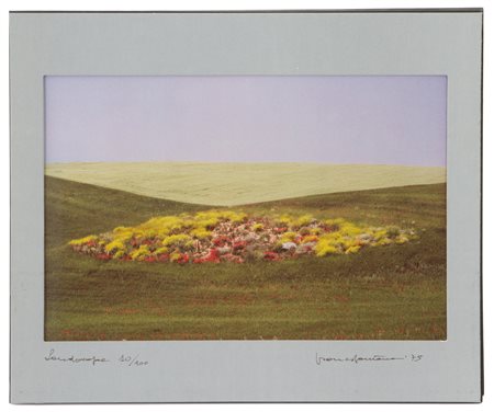 FRANCO FONTANA. "LANDSCAPE"