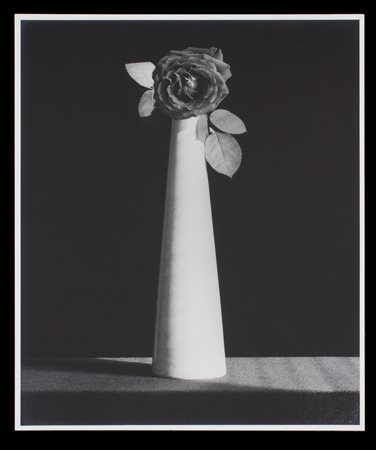 ROBERT MAPPLETHORPE. "ROSE, 1986"