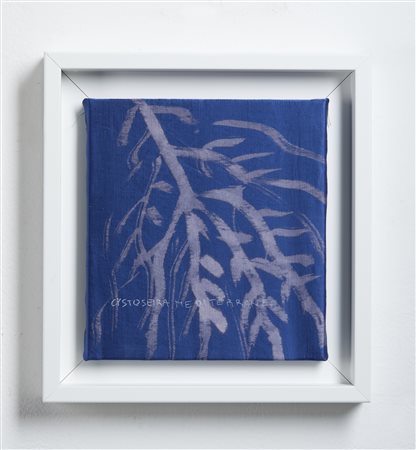 PISANI FRANCA (n. 1956) - Acqua e vento.