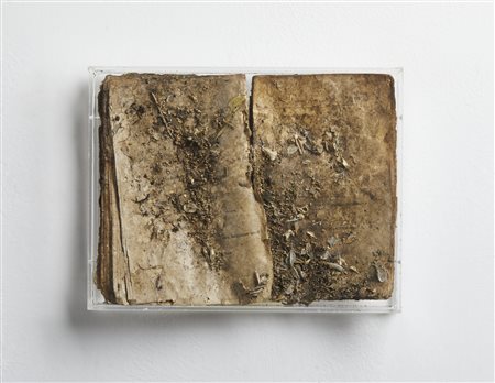 BALBO SEBASTIANO (n. 1956) - Borkman.