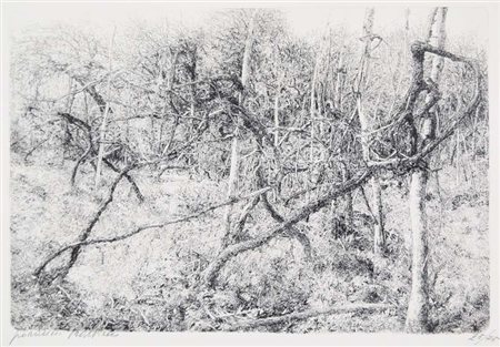 BARBISAN GIOVANNI Treviso 1914 - 1988 L'orto 1979 acquaforte es. 25/75...