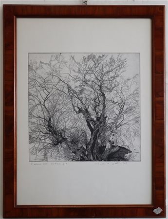 Federica Galli "L'albero del dottore" 1975
acquaforte - prova d'artista
(lastra