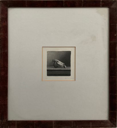 Gianfranco Ferroni "Senza titolo" 1981 - 82
acquaforte - prova d'artista
lastra