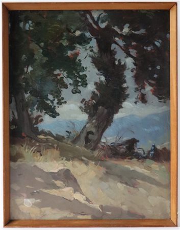 Firma indecifrata "Casentino"olio su tavola (cm 43x33) firmato in basso a sinis