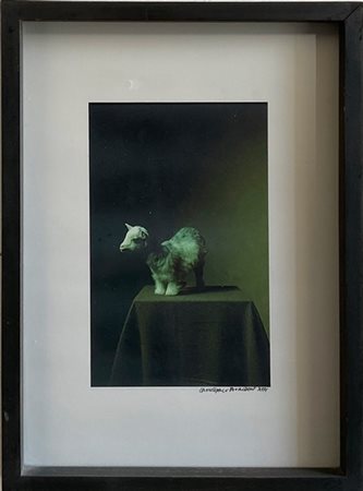 Christopher Broadbent "Little Lamb" stampa digitale (cm 28,5x20) firmata e datat