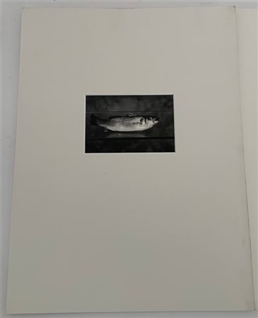 Carla De Bernardi "Cakes - Harry's Bar" 2002, "Piatti vuoti" 1997, "Omaggio a Ti