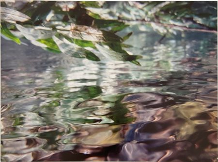 Fabia Garatti "Flowing River" stampa montata su alluminio (cm 44,5x59,5), edizio