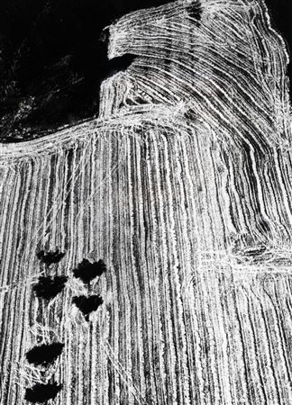 MARIO GIACOMELLI 1925 - 2000 Senza titolo Stampa alla gelatina ai sali...