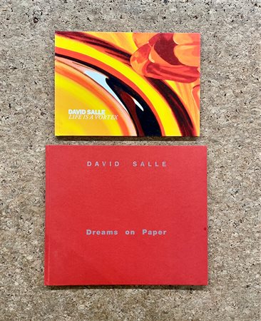 DAVID SALLE - Lotto unico di 2 cataloghi