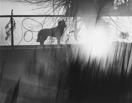 Mario Giacomelli (1925-2000)  - Senza titolo, 1997