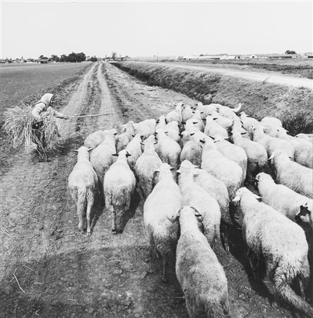 Antanas Sutkus (1939)  - Dalla serie "Meetings with Bulgaria", 1981