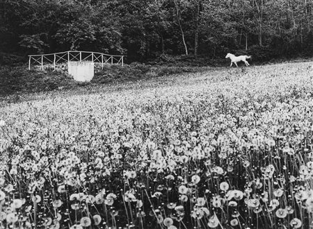 Mario Lasalandra (1933)  - Cavallo bianco, 1992