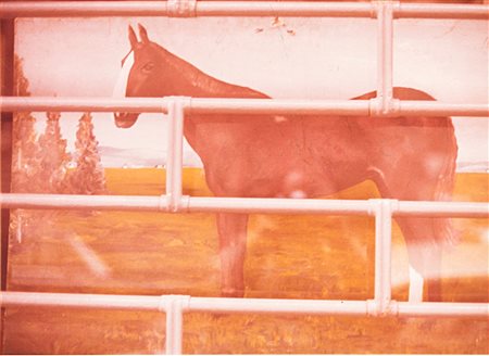 Luigi Ghirri (1943-1992)  - Reggio Emilia, dalla serie "Kodachrome", 1973