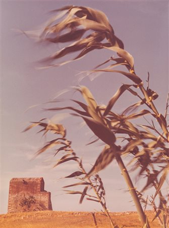 Riccardo Moncalvo (1915-2008)  - Canne al vento, 1974