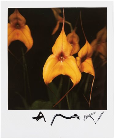 Nobuyoshi Araki (1940)  - Senza titolo, 1990s/2000s