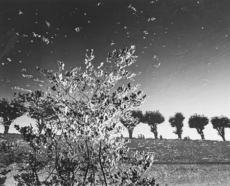 Mimmo Jodice (1934)  - Sully Sur La Loire, 1984