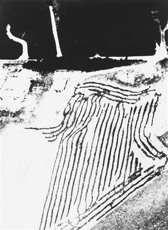 Mario Giacomelli (1925-2000)  - Presa di coscienza sulla natura, 1950s