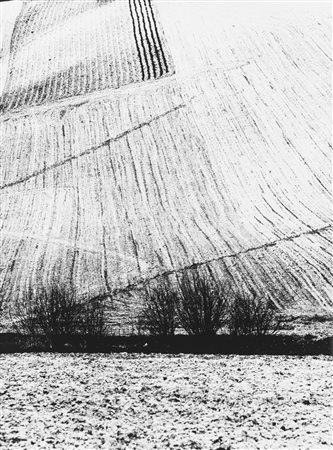 Mario Giacomelli (1925-2000)  - Presa di coscienza sulla natura, 1975/1985