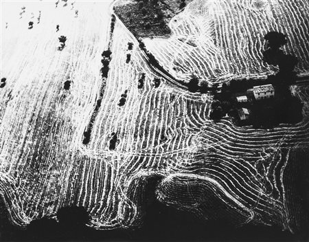 Mario Giacomelli (1925-2000)  - Presa di coscienza sulla natura