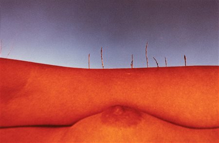 Franco Fontana (1933)  - Senza titolo (Nudo), 1978