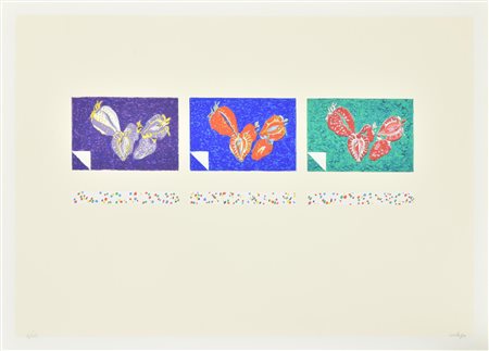 Giorgio Cortassa FRAGOLE serigrafia su carta, cm 50x70; es. 34/150 firma